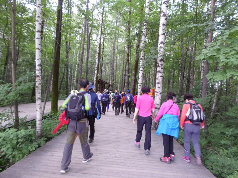 24246C3452298F3C36DF5A_1uXLVmVCzbuK