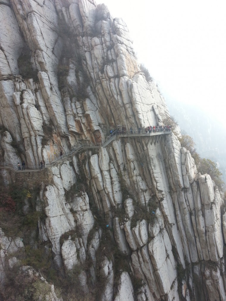 2427644E546533F506B165_pDWDjq9Aqr5