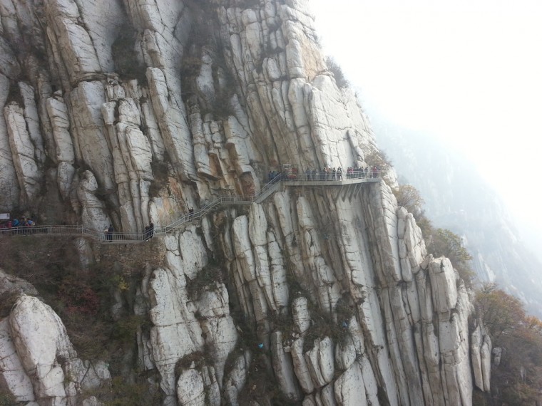 2428AA4E546533F304C782_j9L3tJJfL