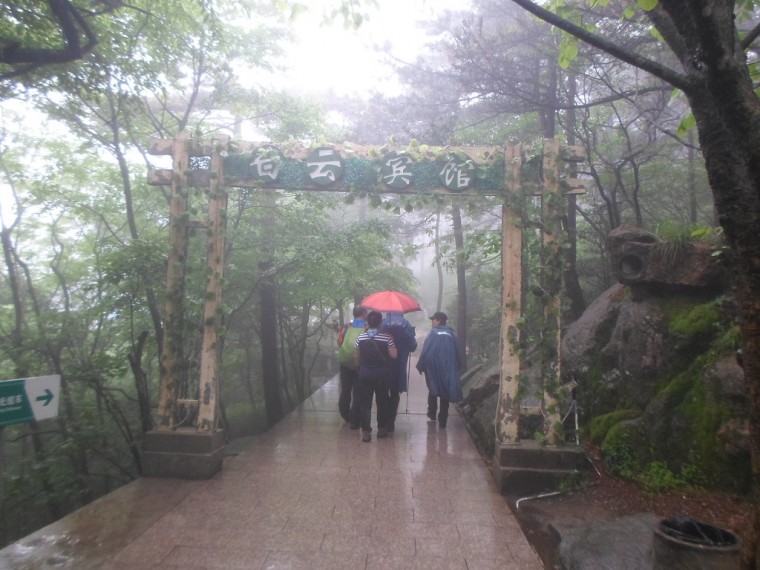 244D033A538916ED1A646A_cDiQx8j1af