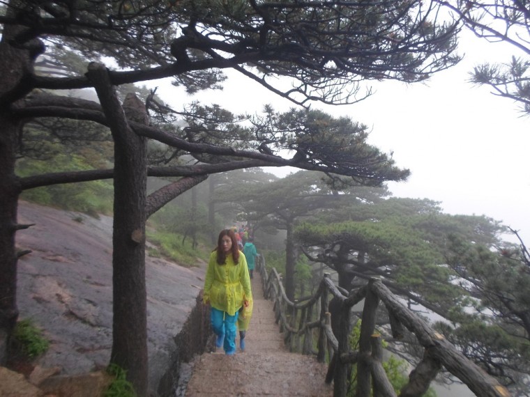 244DB83953891847303A1E_Wfms1cPXiqI