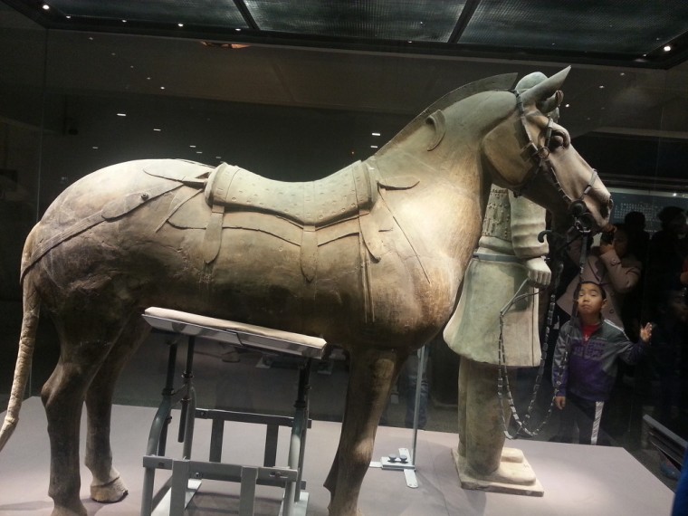 2464084954653AEC2BE13C_SnLKwqIVkCTK84