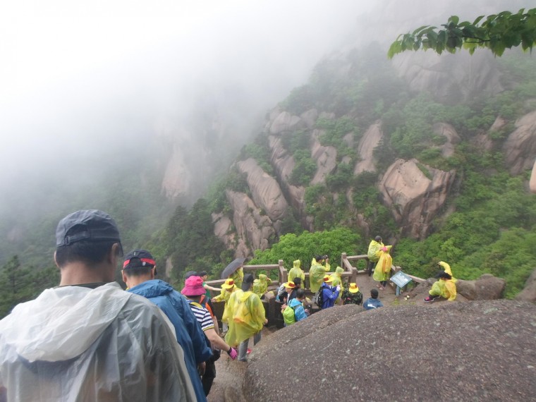 246F893C538915621355F4_EdrXA9Zd