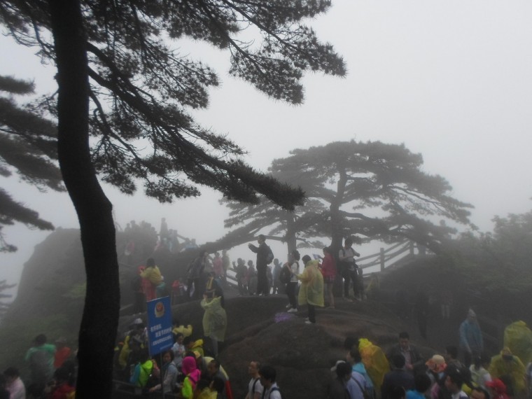 25061A395389146E22A8CF_toKkDjZgS