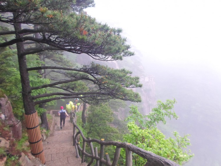 2522BC345389189C2DF9BC_SfnkxcCoNpnF