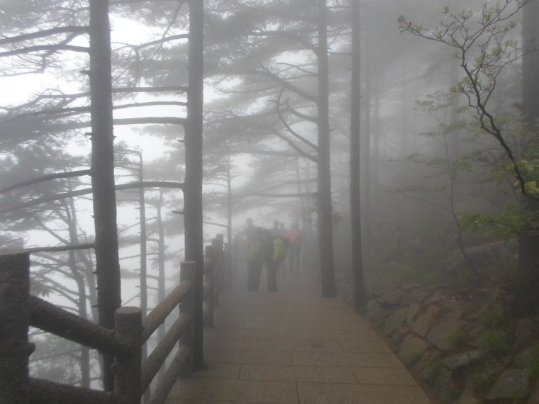 252C8A3A538916F11A8588_XJTx6OEDcIdao2x