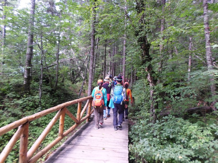 25327E3452298F3A2FCA1A_rwMYieJ5