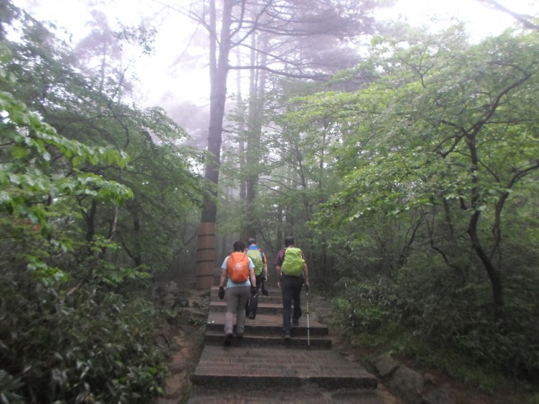 25362B34538918A22D405D_LwhqAY4dkR