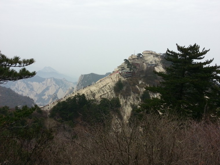 253AA24E54652DC83A9FB4_9rsrUGqh2OGwr7