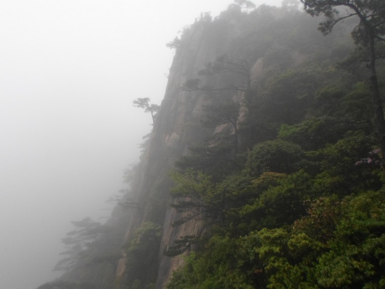 260F6B37538917E31CCDB2_Asrj6tI2btc