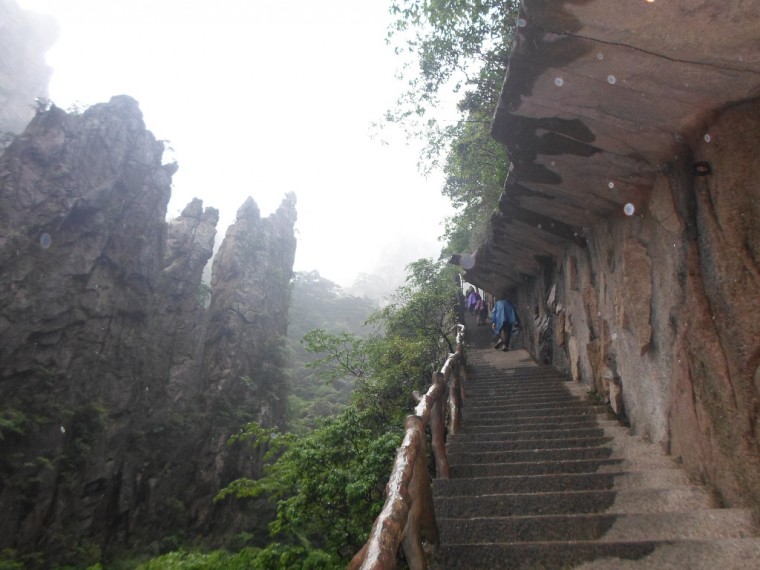 26419037538917841EEA28_BQiNXGwS