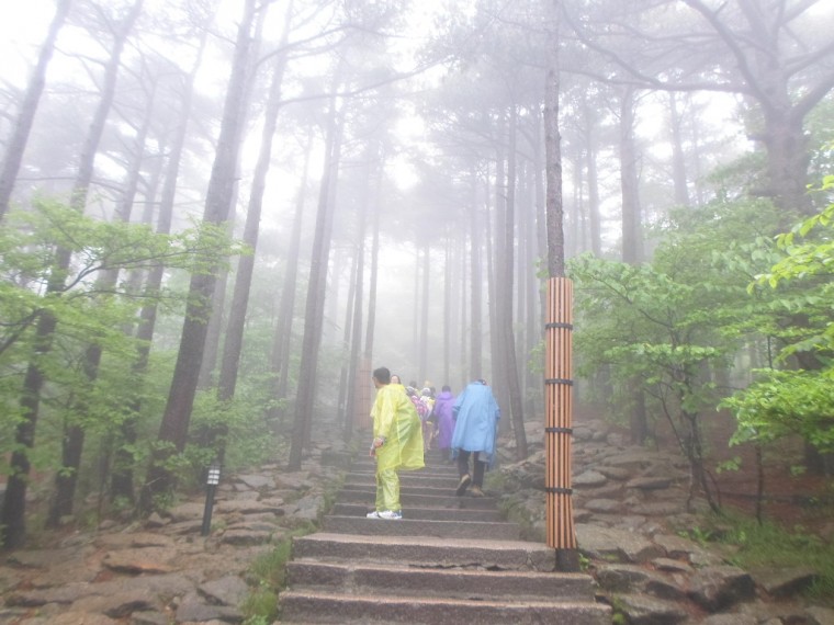 264C81335389168B200A10_uCBBvTnTyO8uhw