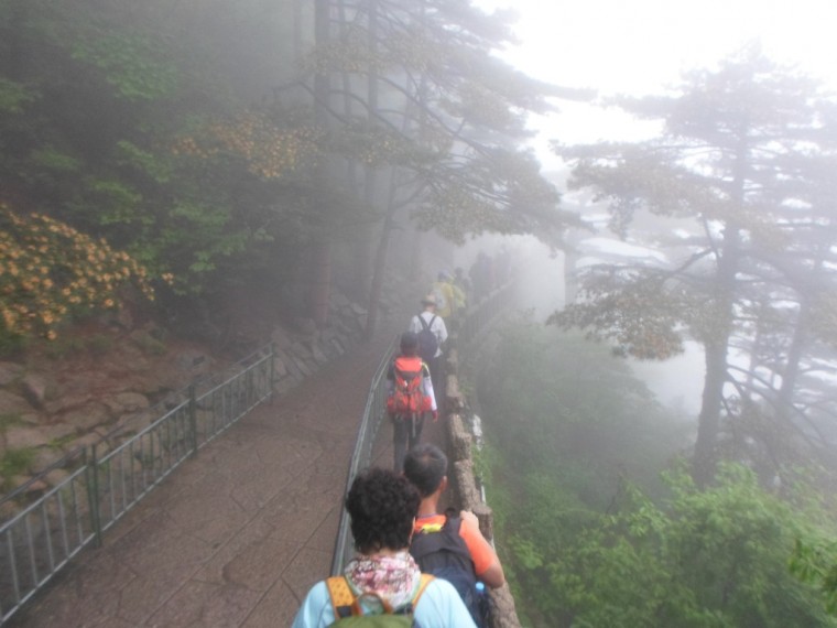 265677365389146A139DD9_4s2YmcfhZidLWAp