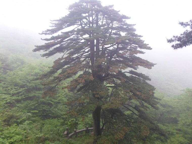 271AF834538918A03452FC_fdHp74PibVjA4zy