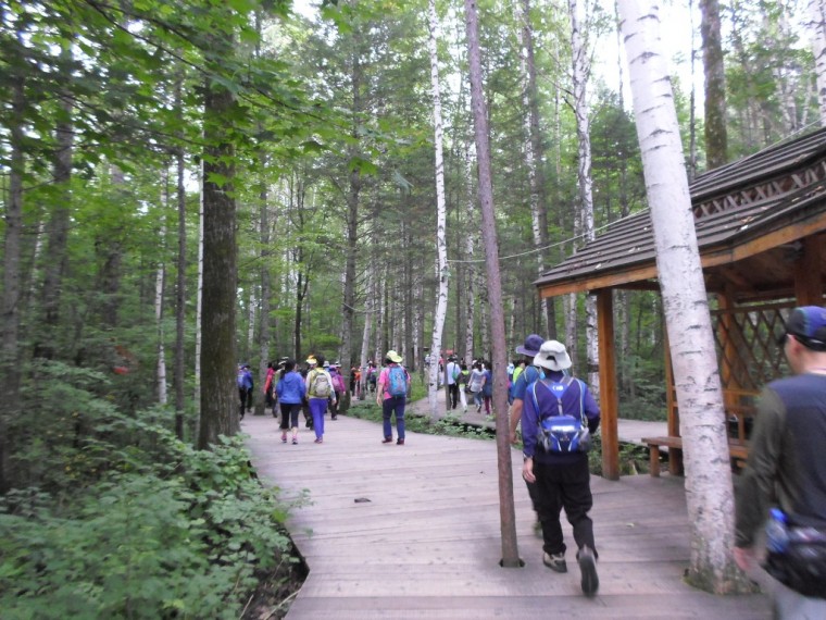 271D864452298E111D496B_BsKKmvP83Aju2