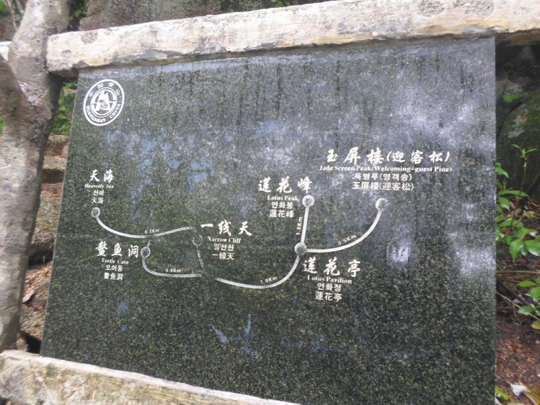 271EF5345389156F2A63EE_1OzRSiYk