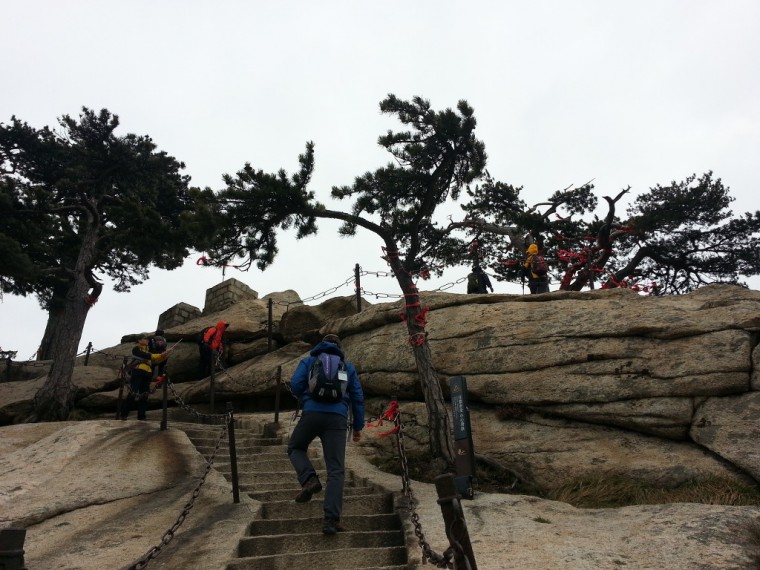 2721E84A54652C9E120A5E_qOkT3GW1qNCdgeZ