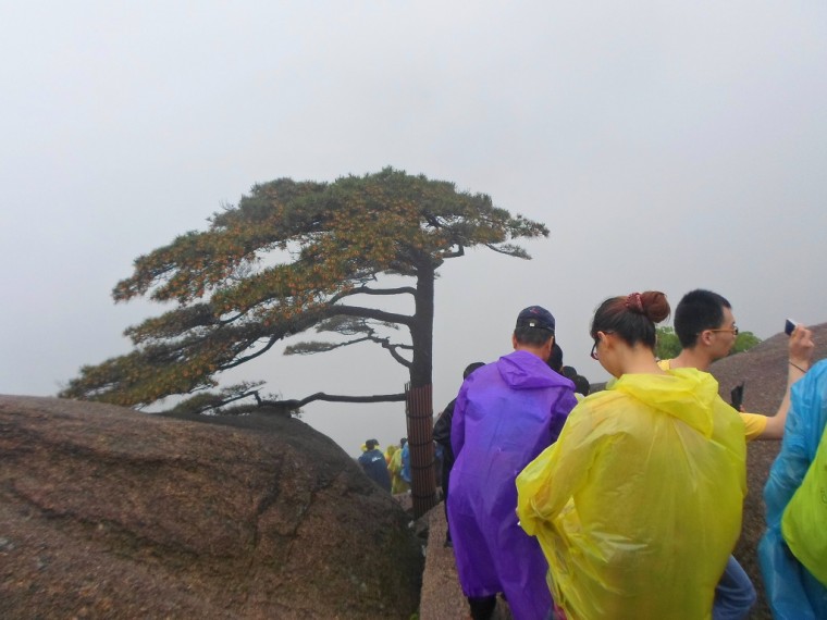 273F363C538915601564B8_uPjZCZ4AcoA65