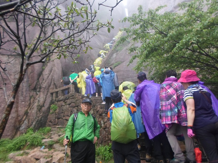 275A2A355389167C15E0D3_saTDmyTX8lt