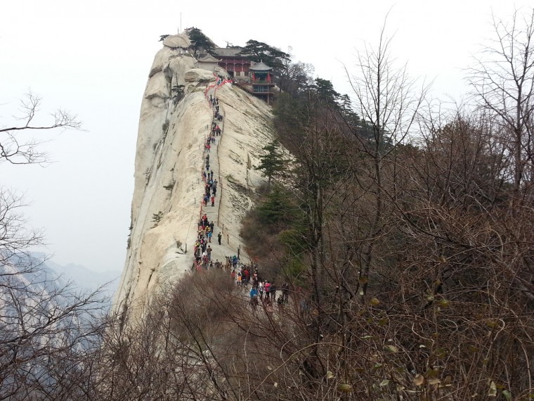 27646A4F54652DD904391E_y382wqC8Oyfg