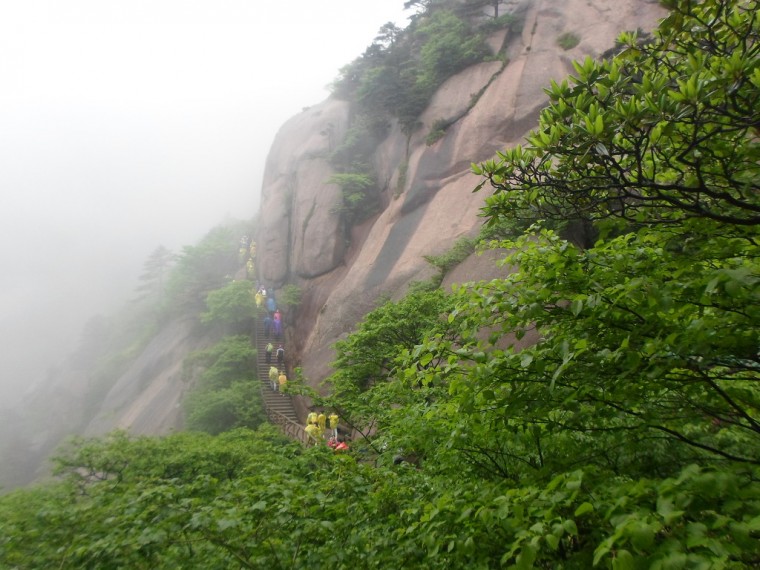 276B5B3C5389156A0BA905_pVrqjULMKOS