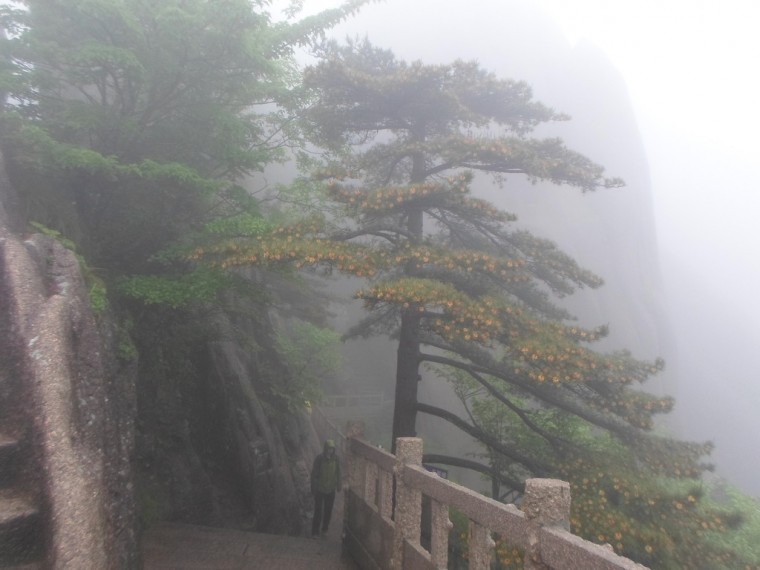 27791C36538914B8052F89_q1LVekuMk