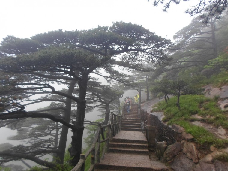 277BCA3953891848018A9E_mQ2CCN9DF1kT6