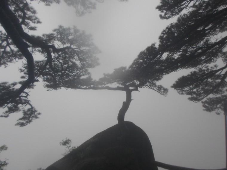 277E4436538914C2036B51_zo3sVeZt8